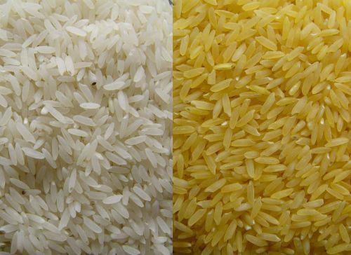 强化大米