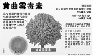 黄曲霉毒素