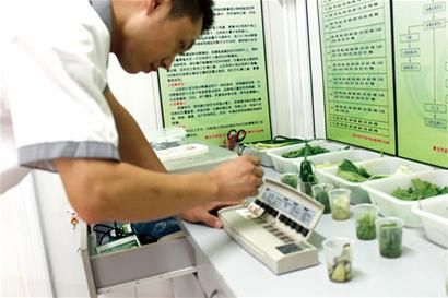 江苏宿迁开展新鲜水果中农药残留检测工作 江苏宿迁开展新鲜水果中农药残留检测工作