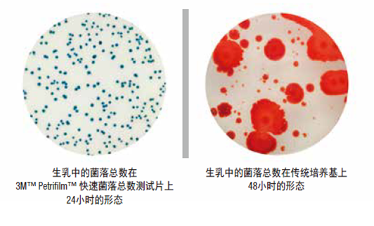 菌落总数 菌落总数
