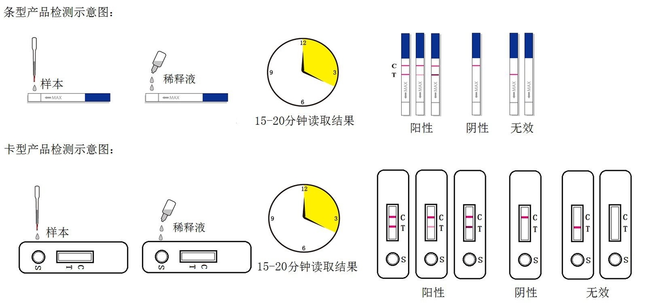 饲料中玉米黄曲霉毒素、赤霉烯酮、呕吐毒素的限量数值 