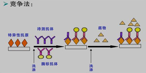 小麦中呕吐毒素检测仪符合国家限量标准 