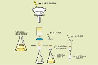 小麦中呕吐毒素检测仪符合国家限量标准 